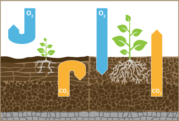 Bodenversauerung durch Kohlendioxid - Kreidekalk in der Landwirtschaft