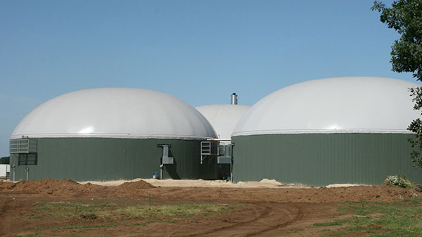 Dino Selenium - Ertragsoptimierung für die Biogasanlage durch Selen